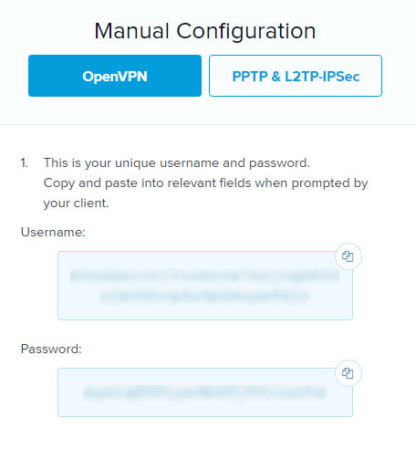 ExpressVPN manual config set up.
