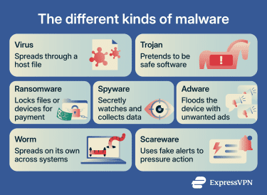 Infographic showing seven types of malware with simple icons and short labels: virus, trojan, ransomware, spyware, adware, worm, and scareware.