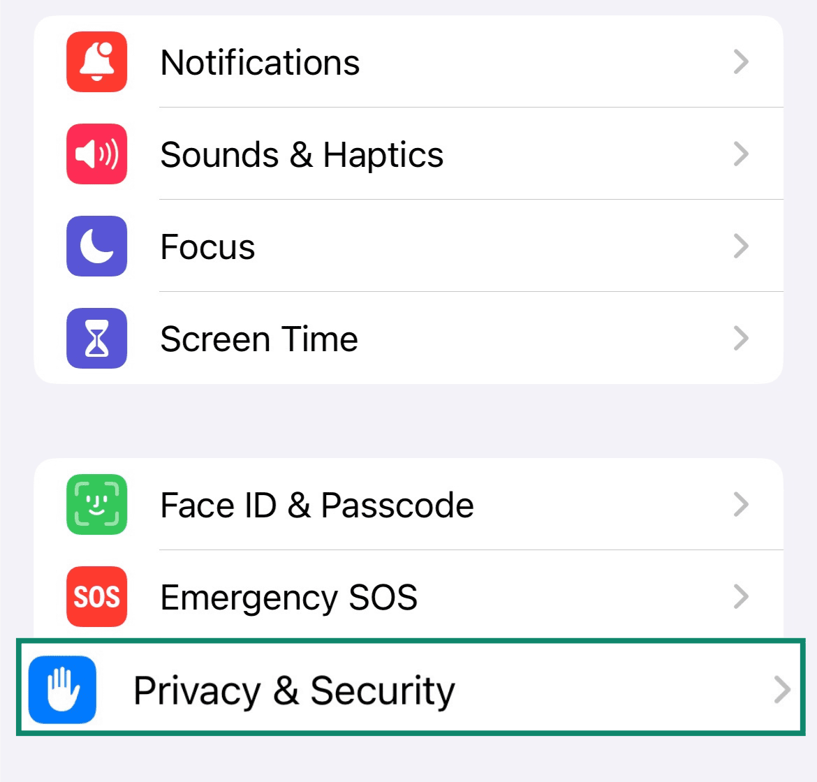 Screenshot of the iOS Settings page with Privacy & Security highlighted.