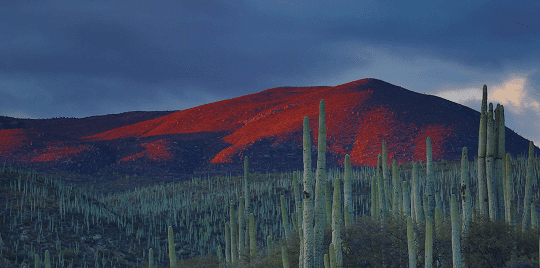 Mexico@2x