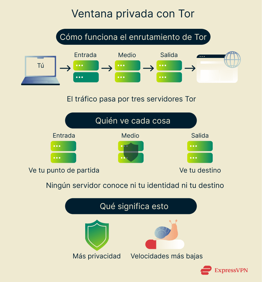 An overview of how Brave’s Private Window with Tor routes traffic through multiple servers for stronger privacy and anonymity.