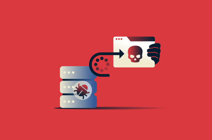 DNS hijacking