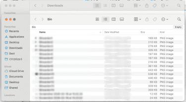 Trash on macOS.