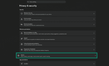 Search under Privacy & security in Windows Settings.