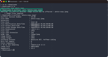 Metadata removal command entered in Terminal using ExifTool