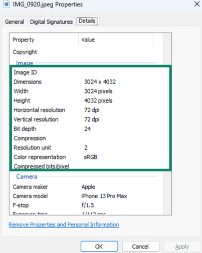 Image dimensions and resolution metadata in the Details tab.