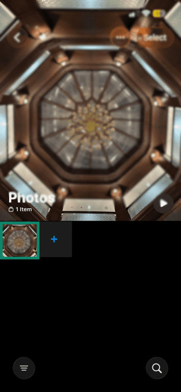 Photo selected in the Photos app on iPhone